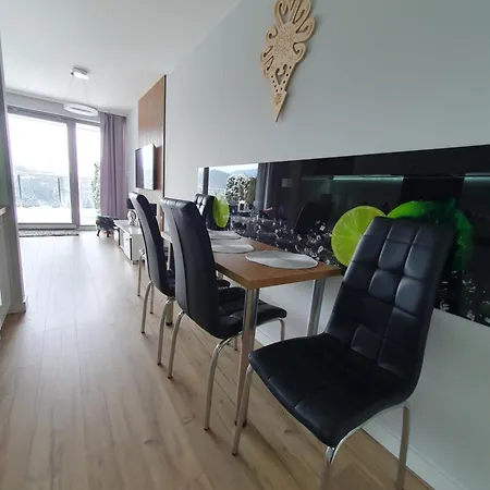 Widokowy Apartment *