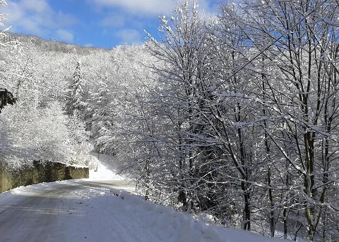 Appartement Widokowy